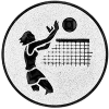 volleybal dames