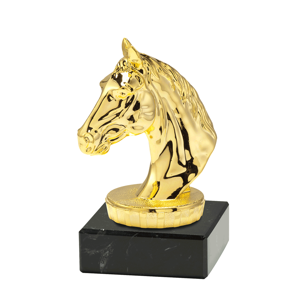 Trophée en bronze Equitation Cheval
