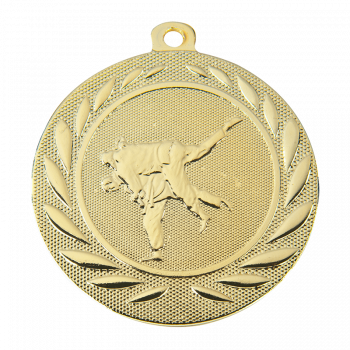 Médaille London judo