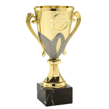 Gouden trofee met zilver detail