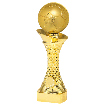 Trofee Nico voetbal