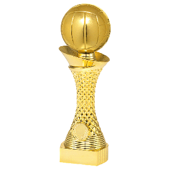 Trofee Nico volleybal