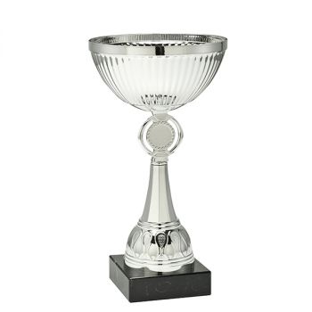 Traditionele zilveren trofee