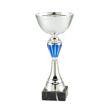 Trophée coupe du monde en verre personnalisable