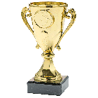 Gouden Super Budget Trophy klein
