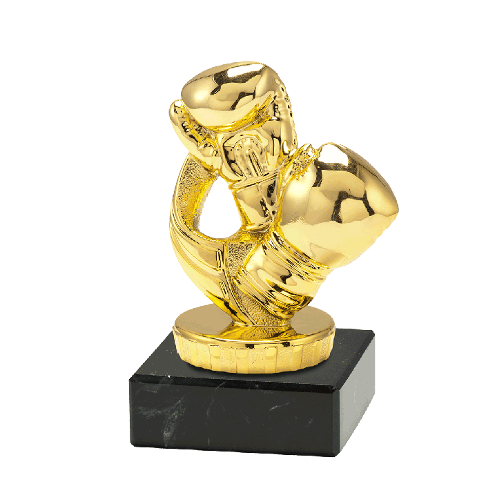 Trophée Ian boxe