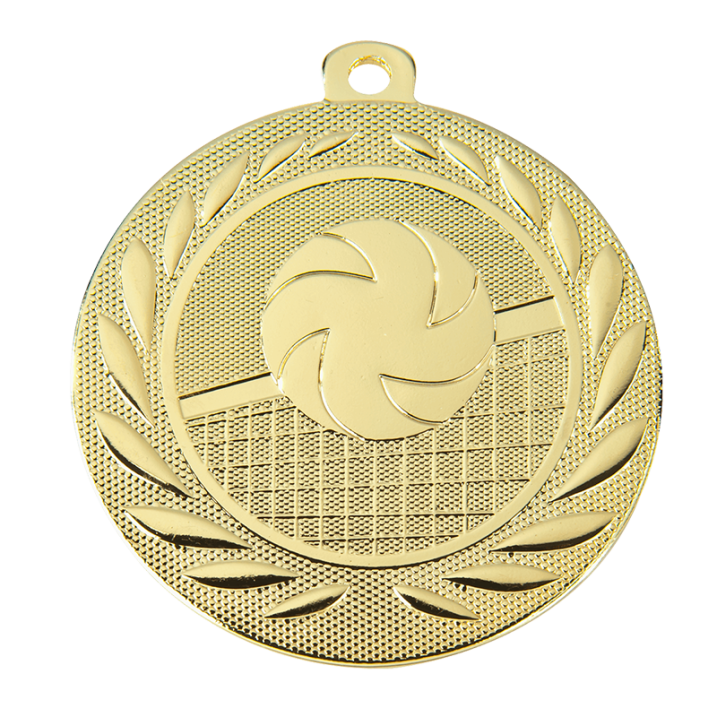 Medaille London volleybal