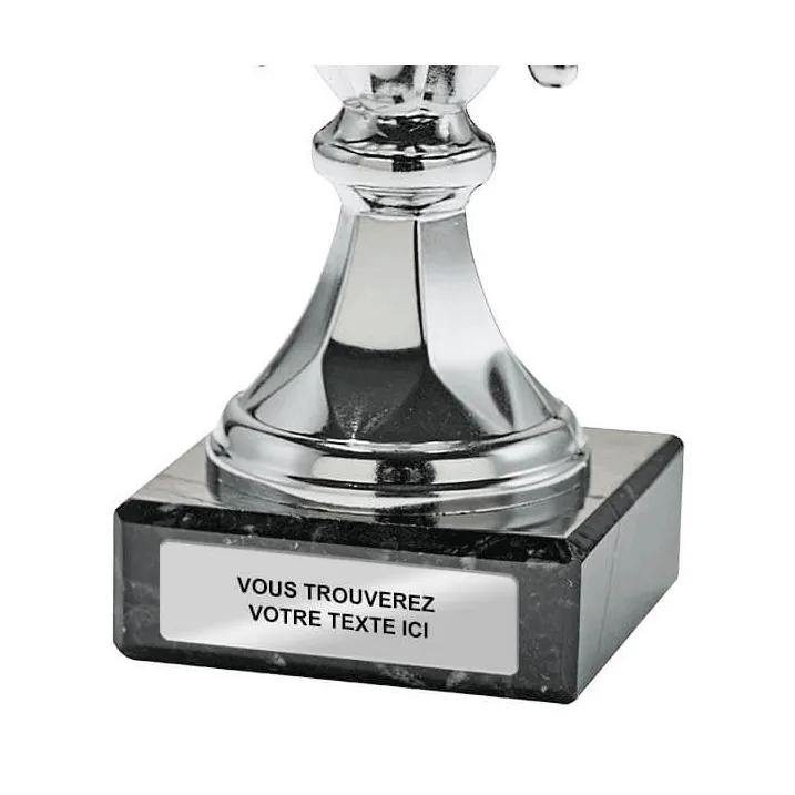 Trophée De Pêche - Coupe Argent Hauteur 13 3/4 - Personnalisation Gratuite J5