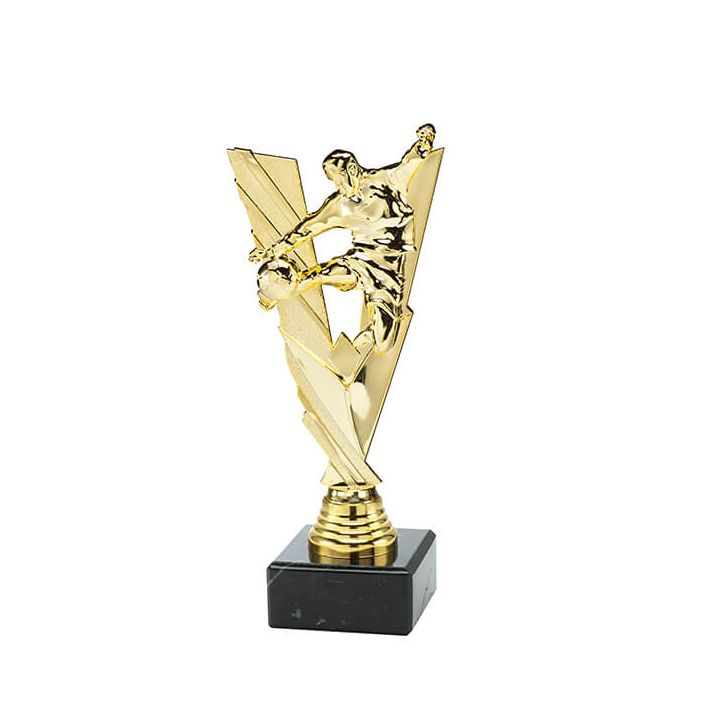 Trofee Vick voetbal Trofee Vick voetbal