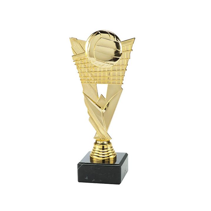 Trofee Vick volleybal
