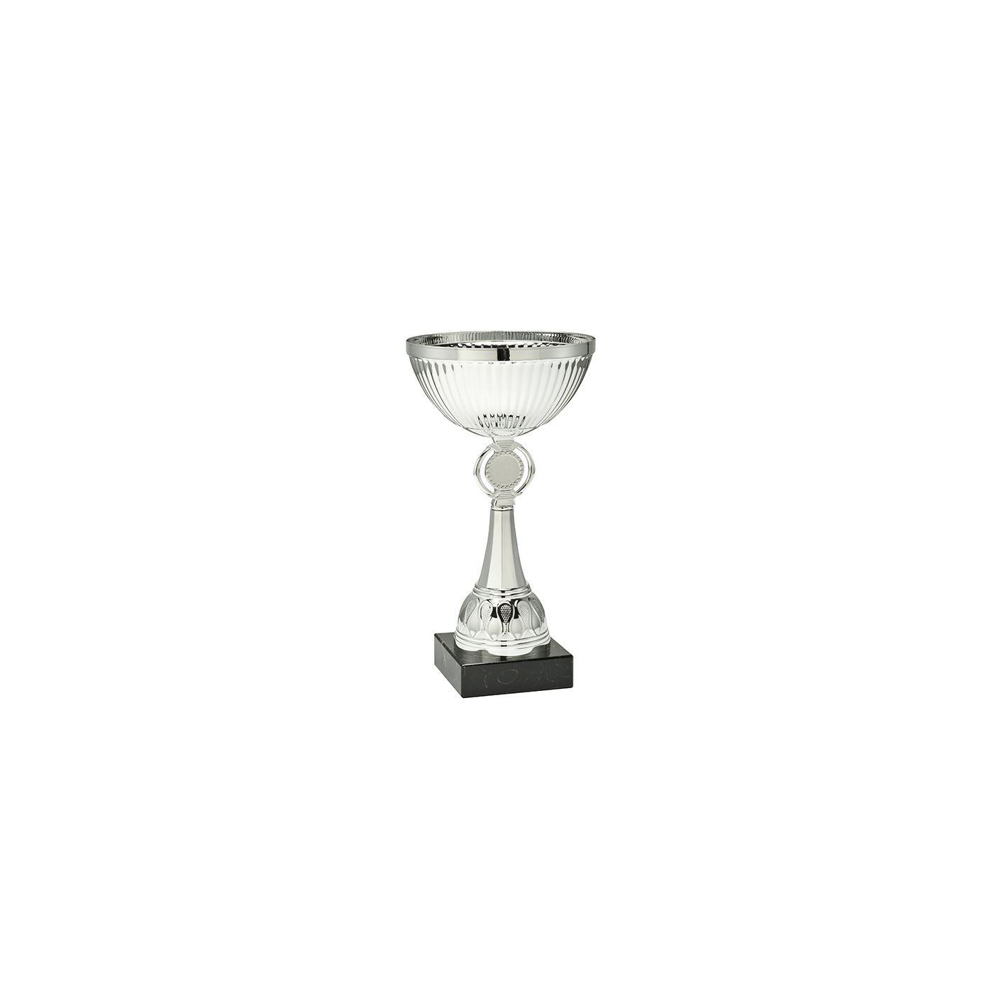 Traditionele zilveren trofee Traditionele zilveren trofee
