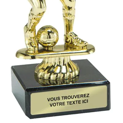 Or 3D Gardien de but Joueur de Football Trophée Récompense 17cm GRAVURE ET  LIVRAISON GRATUITES -  France