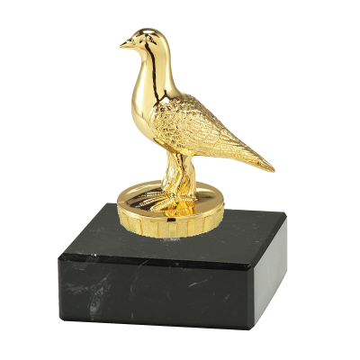 Duivensport trofee Ian